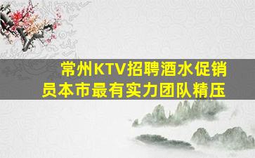 常州KTV招聘酒水促销员本市最有实力团队精压